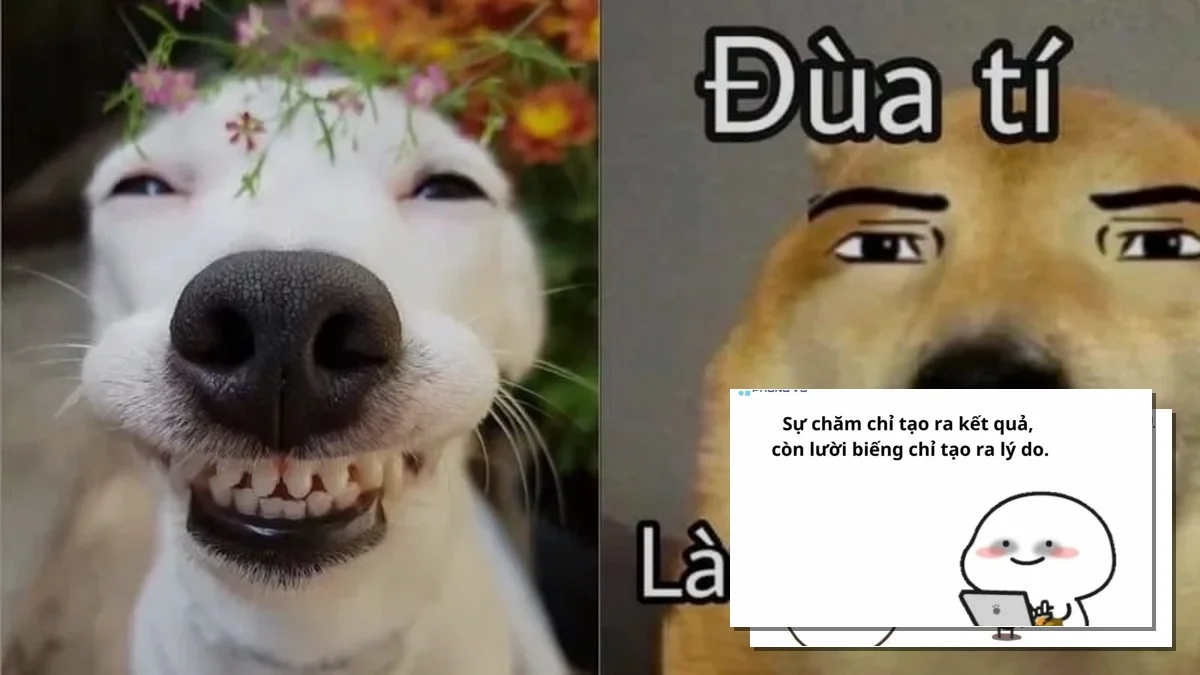 100+ Meme Cuộc Sống Hài Hước Ý Nghĩa: Tiếng Cười Giải Tỏa Áp Lực?