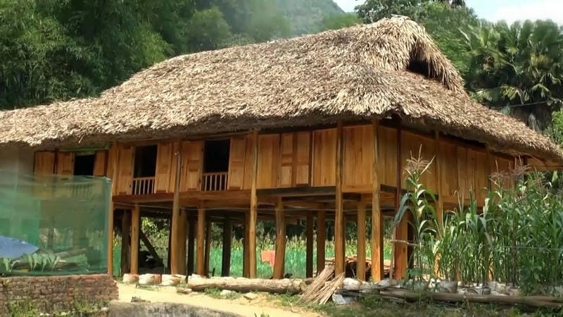 Ấn tượng với mái lá nhà sàn Dao mộc mạc giữa núi rừng Lào Cai