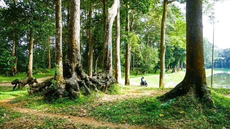 Ảnh Trà Vinh đẹp lưu giữ khoảnh khắc thiên nhiên