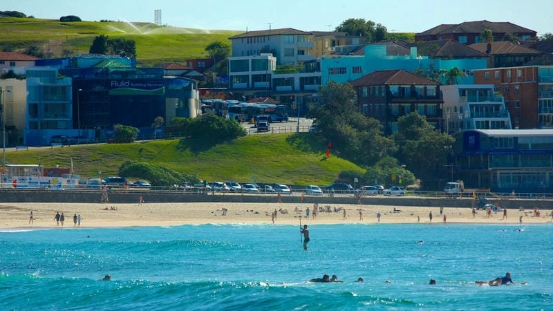 Biển xanh Bondi trong trẻo và mát lành