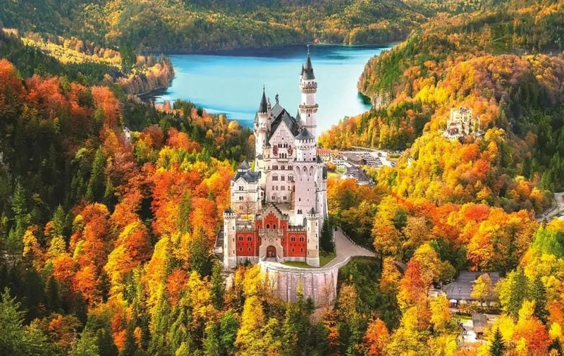 Bình minh lá đỏ ở Black Forest đẹp đến nao lòng