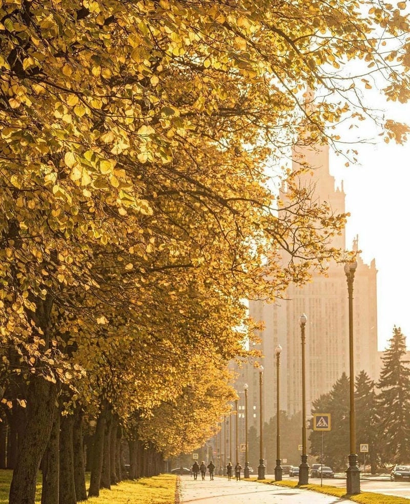 Bình minh lá vàng ở Moscow đẹp đến nao lòng