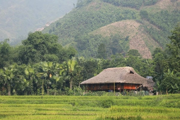 Bình minh rực rỡ tại Nhà sàn Thái Lào Cai yên bình