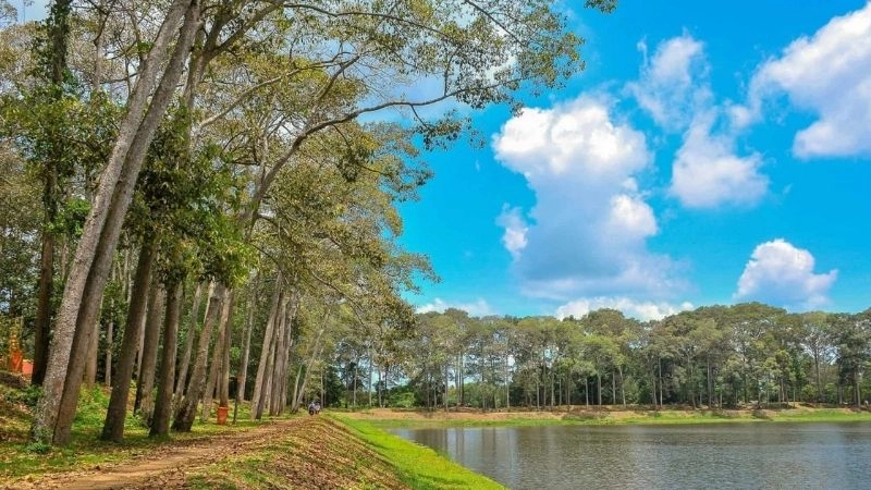 Bình yên Ao Bà Om dịu dàng trong sớm mai