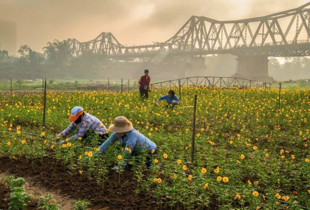 Bỏ túi ngay kinh nghiệm sống ảo và lưu ý khi tham quan