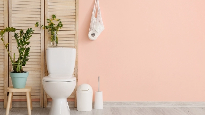 Bồn cầu và ống nước bẩn gây mùi khó chịu trong nhà 