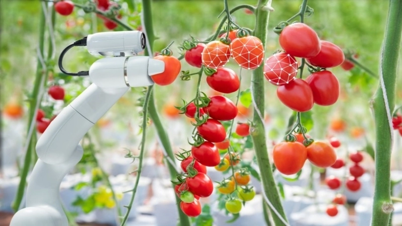 Các loại robot nông nghiệp phổ biến hiện nay