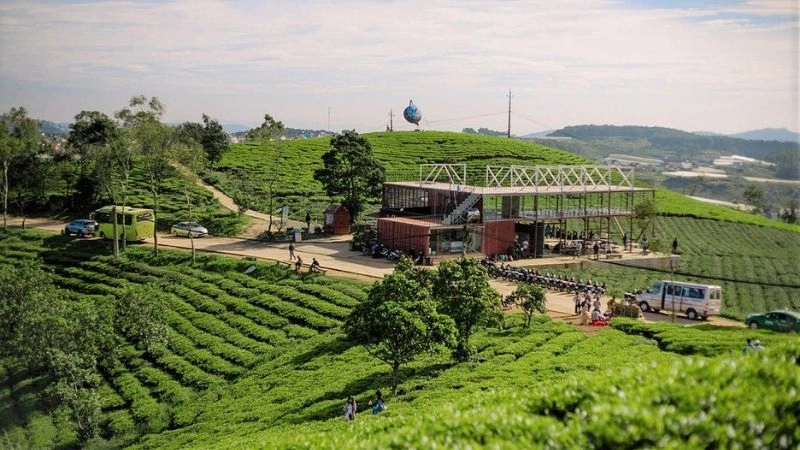 Cách di chuyển đến đồi chè Cầu Đất thuận tiện