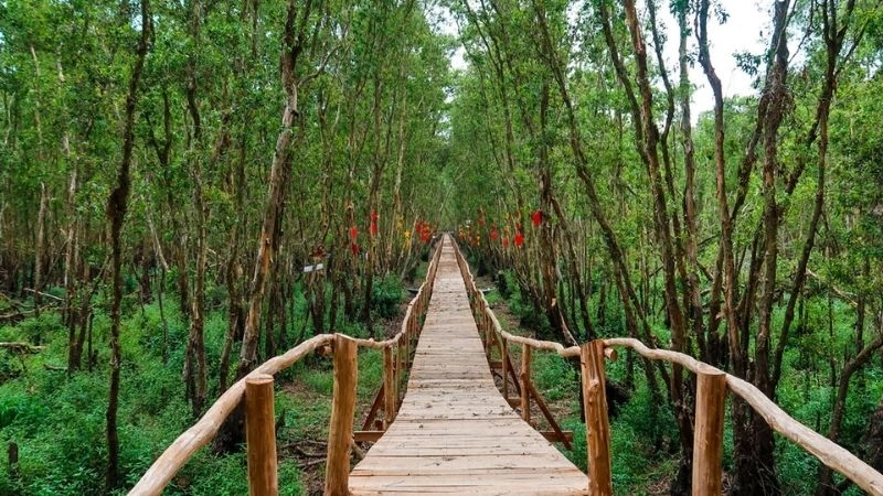 Cách di chuyển đến rừng tràm Trà Sư