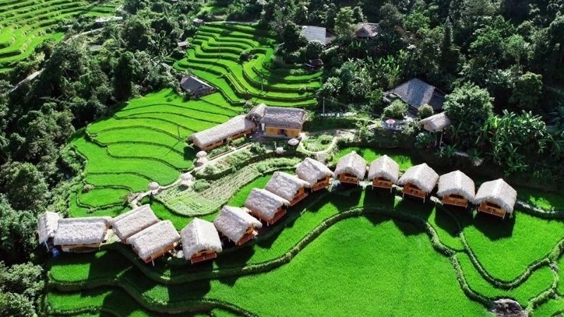 Cách di chuyển đến ruộng bậc thang Hoàng Su Phì dễ dàng 