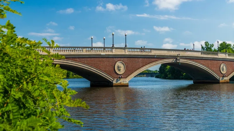 Cambridge mùa hè tràn ngập sắc xanh tươi