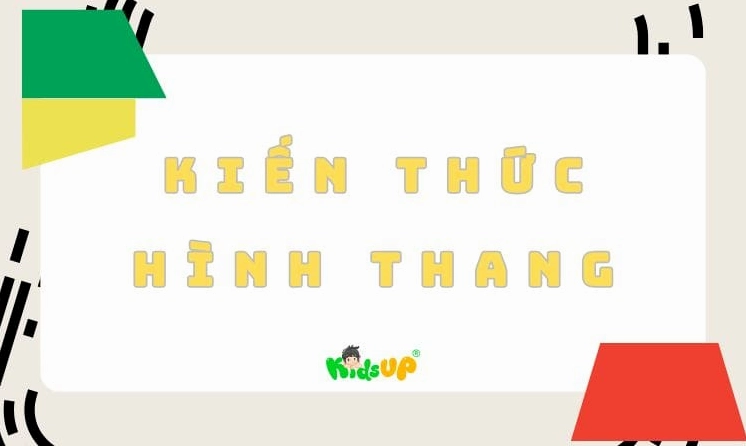 Cạnh Đáy Là Gì? Khái Niệm và Đặc Điểm Trong Các Hình Học
