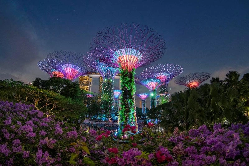 Cảnh đêm Gardens by the Bay ánh sáng huyền ảo thu hút khách du lịch