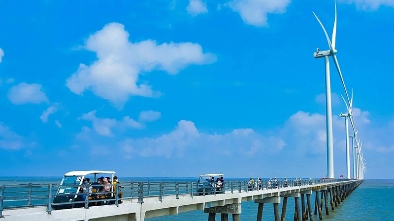 Cánh đồng điện gió Bạc Liêu ảnh hiện đại xanh mát