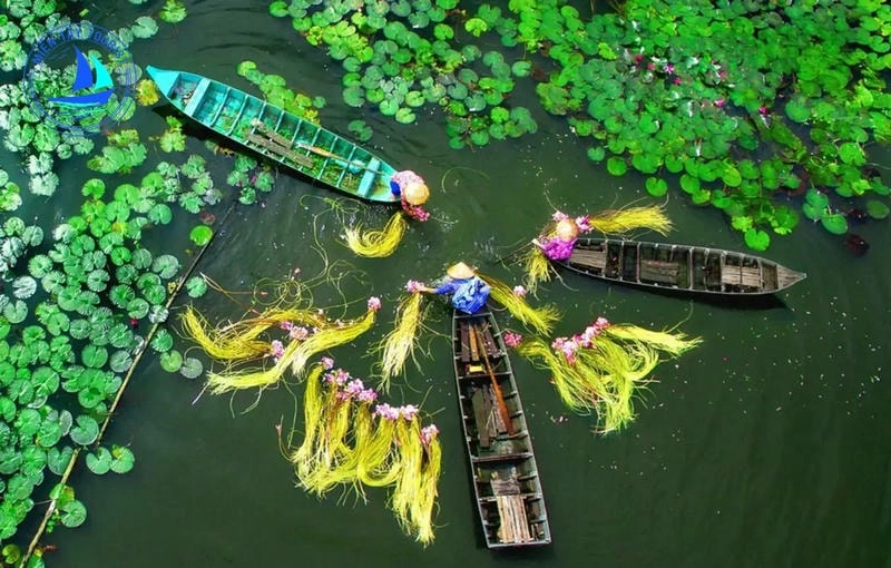 Cảnh du lịch Cần Thơ với Bến Ninh Kiều lung linh