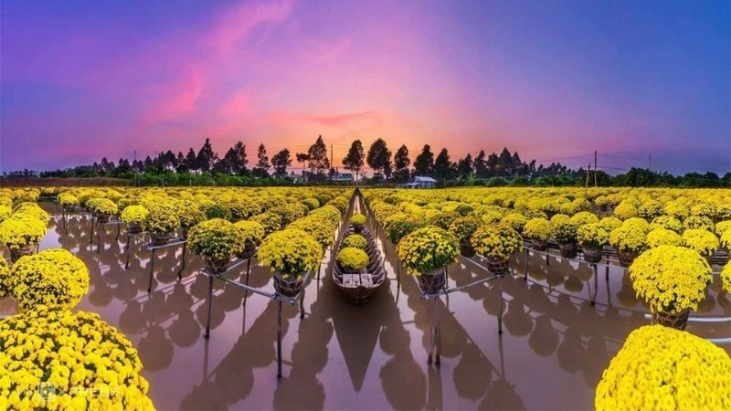 Cảnh quan làng hoa Sa Đéc thơ mộng dịu dàng tinh tế