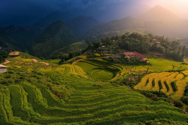 Cảnh ruộng bậc thang Sapa uốn lượn trong sương mù