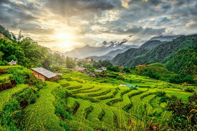 Cảnh thiên nhiên Sapa xanh mát trong ánh bình minh