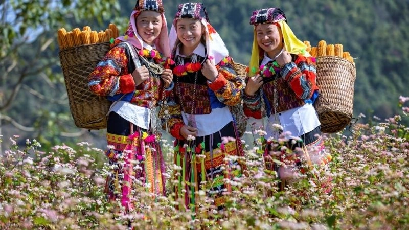 Cao nguyên đá Đồng Văn hoang sơ đầy quyến rũ