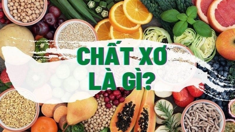 Chất xơ là 1 thành phần của thực phẩm mà cơ thể không thể tiêu hóa được