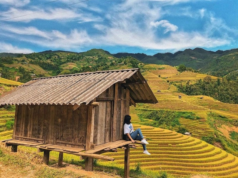 Checkin sống ảo đỉnh cao tại đèo lúa chín vàng ươm