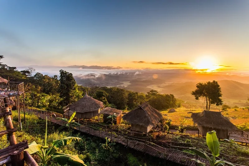 Chiang Rai rực rỡ trong sắc vàng mùa thu