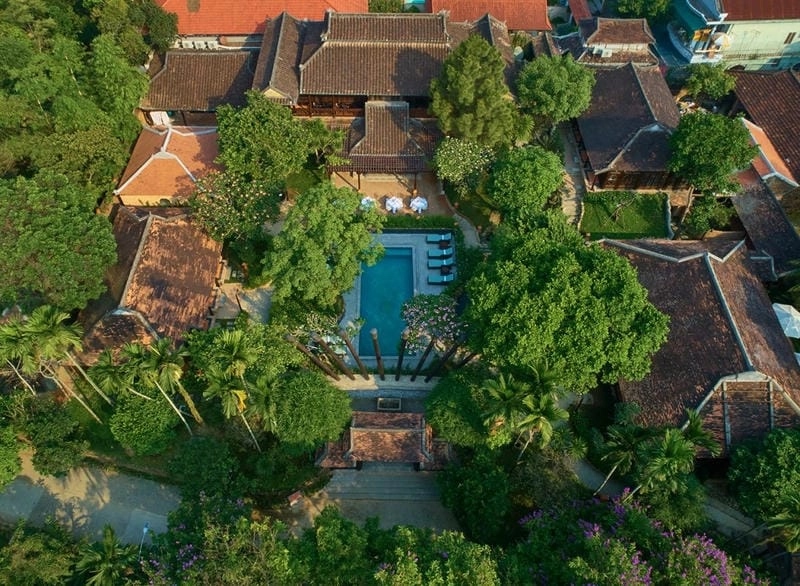 Chiêm ngưỡng hồ sen nhà vườn rực rỡ hương sắc mùa hè