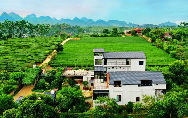 Chiêm ngưỡng Villa đồi chè Mộc Châu với kiến trúc villa đồi chè tinh tế