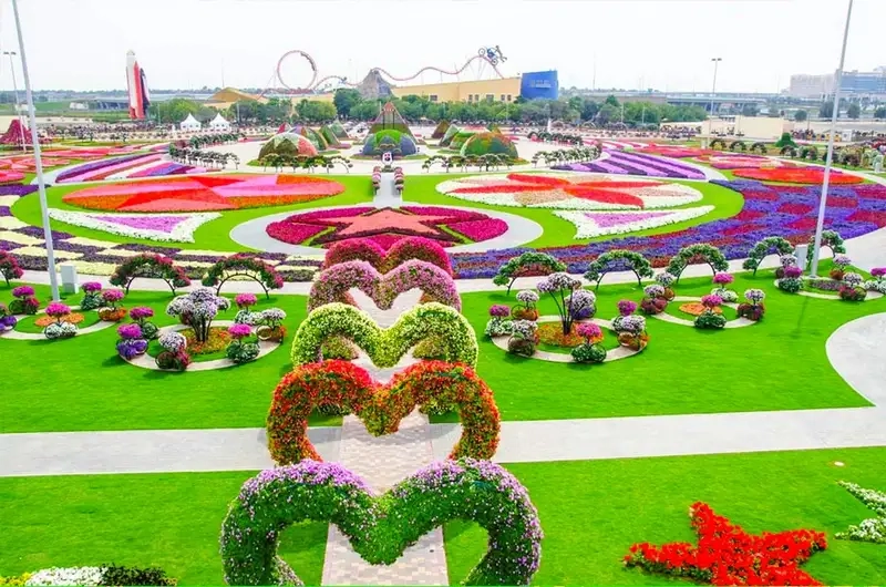 Chiêm ngưỡng sắc hoa tại Dubai Miracle Garden ảnh