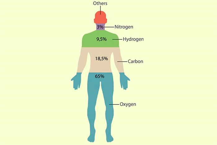 Chiếm phần lớn là nguyên tố Oxy trong cơ thể người
