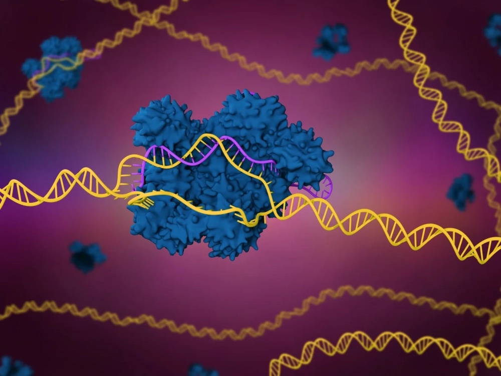 Chỉnh sửa gene phổ biến thúc đẩy đổi mới y sinh