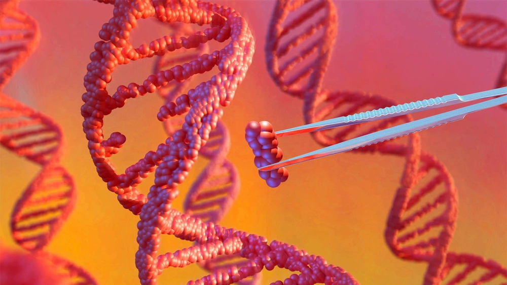 Chỉnh sửa gene thực vật cải thiện nông nghiệp bền vững