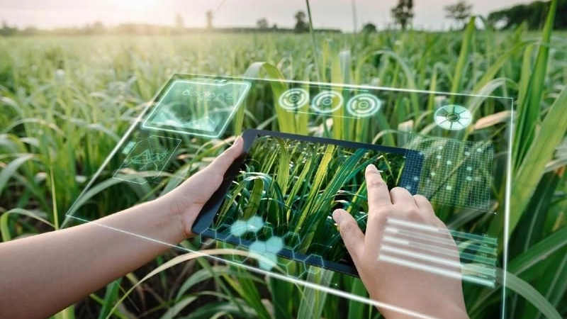CleanTech là gì? Vì sao được quan tâm