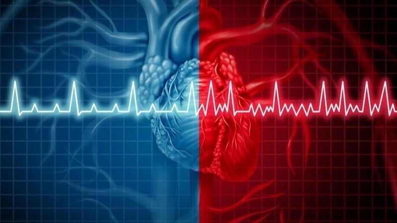 Có nhiều nguyên nhân khiến cho nhịp tim tăng khi nghỉ ngơi