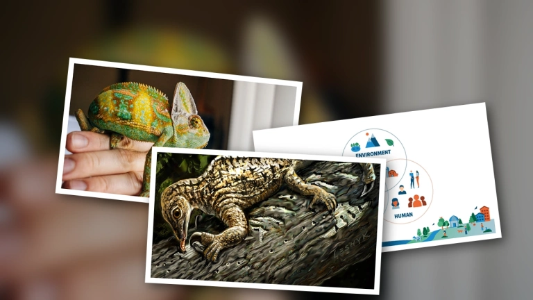 Comprehensive Guide to a Holistic Approach to Reptile Health and Wellness