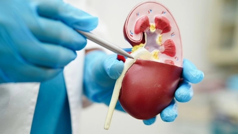 Công nghệ y học và đổi mới chăm sóc
