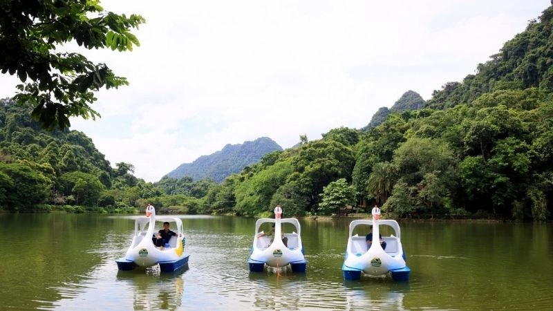 Cúc Phương mê hoặc bởi vẻ đẹp hoang dã