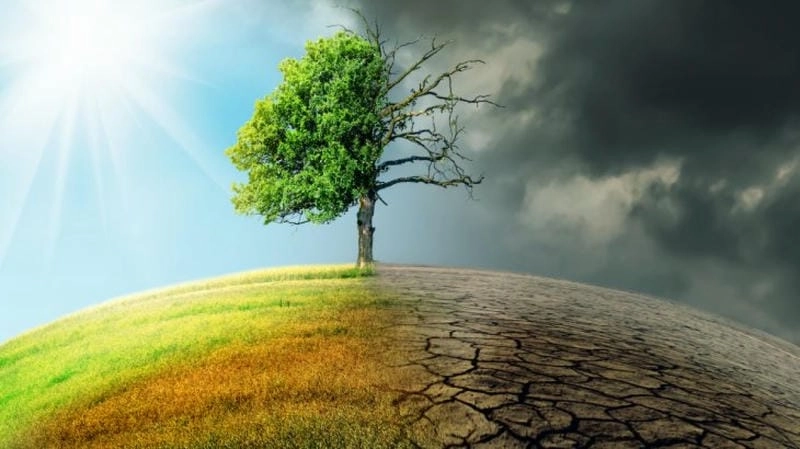 Cùng hiểu rõ biến đổi khí hậu là gì