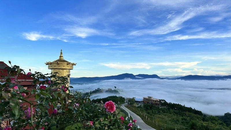 Đà Lạt  là nơi muôn loài hoa khoe sắc, tạo nên vẻ đẹp say đắm lòng người