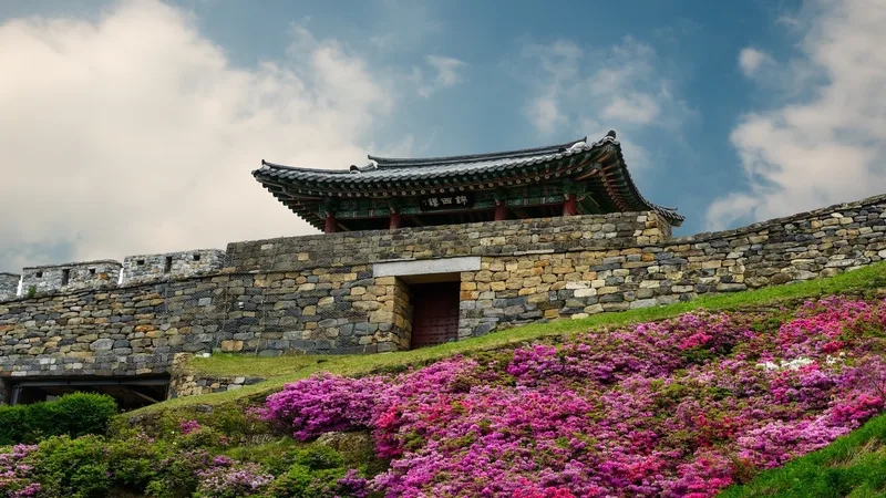 Daejeon hiện đại nhưng vẫn đậm nét truyền thống