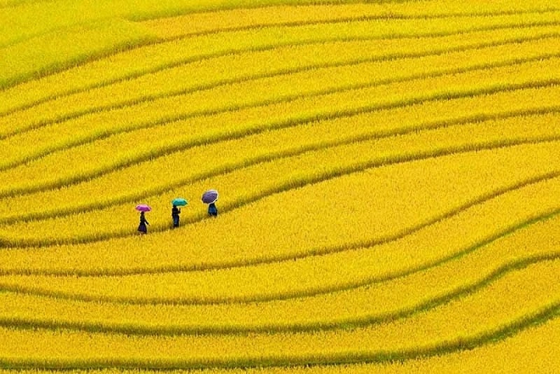 Đắm chìm trong Hà Giang thơ mộng