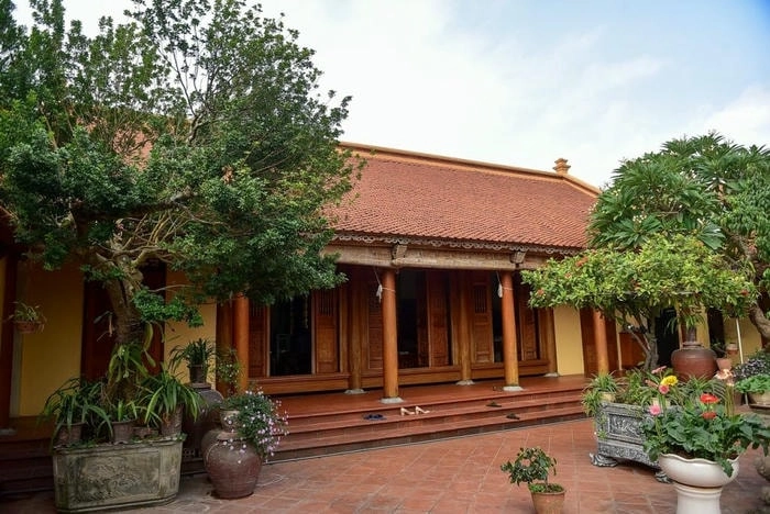 Đắm chìm trong vườn nhà Bắc Bộ xanh mướt an lành