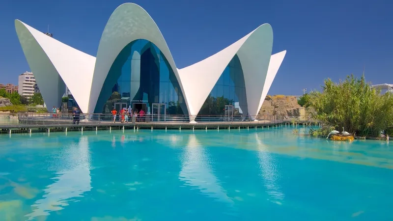 Đắm mình trong không khí biển Địa Trung Hải Valencia