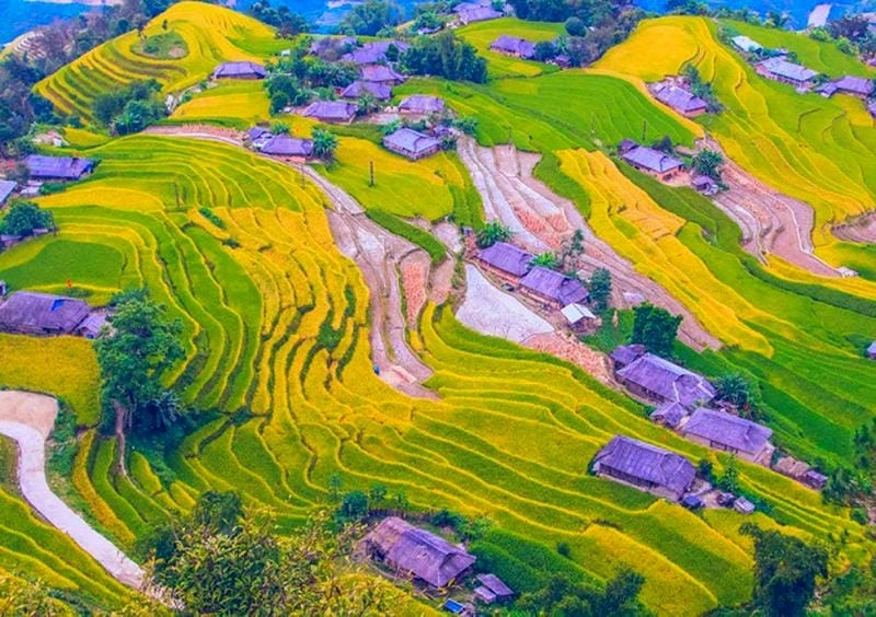 Đến đúng lúc để ngắm thời điểm lý tưởng để đến Hà Giang