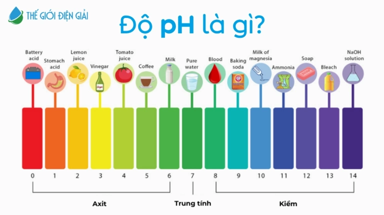 Độ pH là gì? Hiểu rõ ý nghĩa và cách duy trì cân bằng pH cho cơ thể