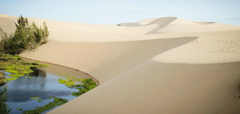 Đồi cát Phan Thiết với cảnh sắc sa mạc độc đáo