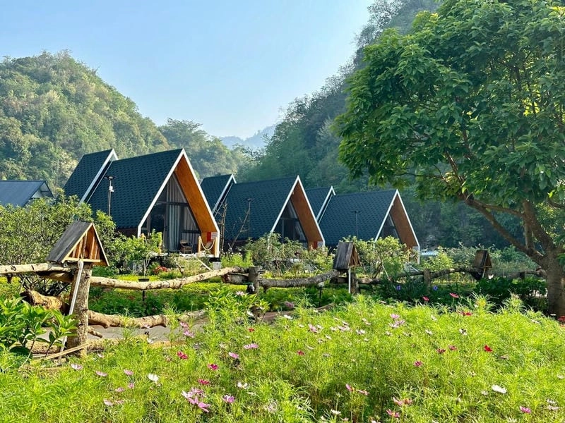 Ngắm bình minh villa Mộc Châu tại Villa đồi chè Mộc Châu thơ mộng