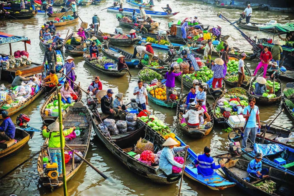 Du lịch Cần Thơ - Nơi bạn được trải nghiệm cuộc sống sông nước hiền hòa của miền Tây