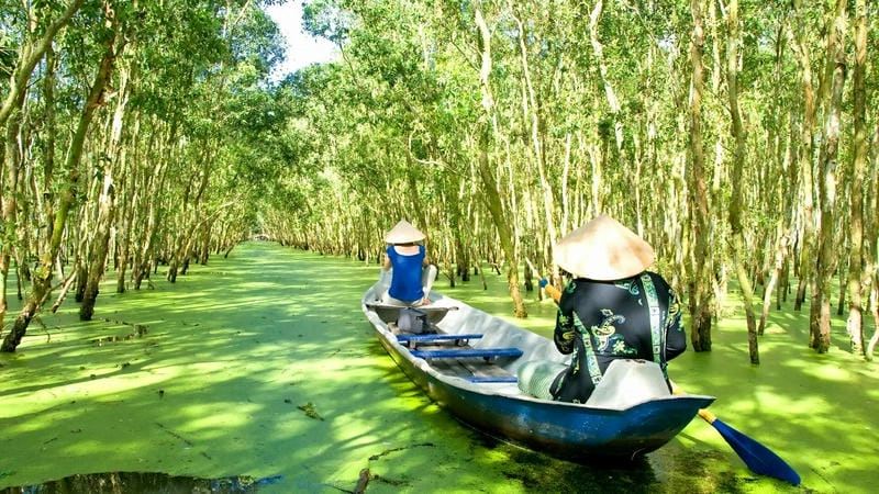 Du ngoạn trên Sông nước miền Tây tại Đồng bằng sông Cửu Long