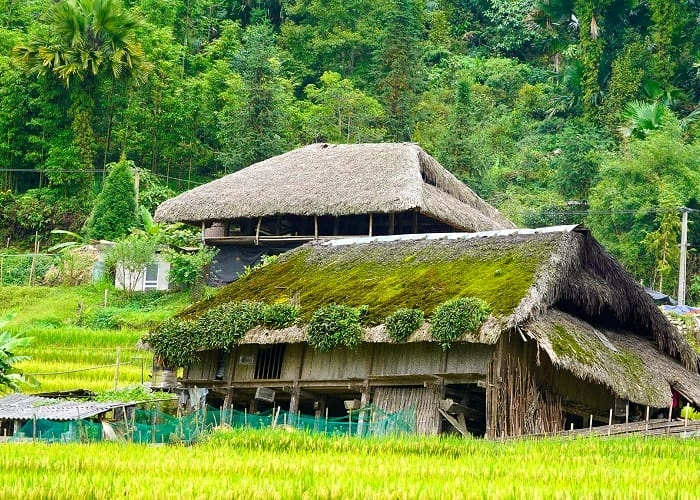 Góc nhìn gần sân trước nhà sàn giữa thiên nhiên Lào Cai thanh bình
